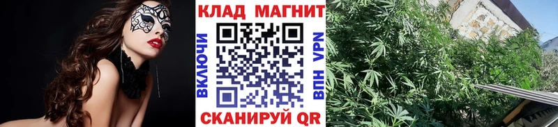 Купить наркотики сайты Ногинск МАРИХУАНА A PVP гидра как зайти АМФ COCAIN МЕФ ГАШ