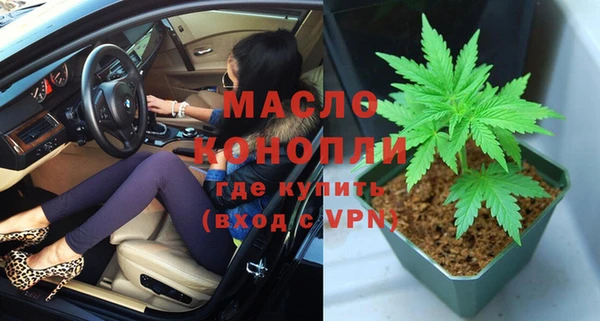 индика Щучье