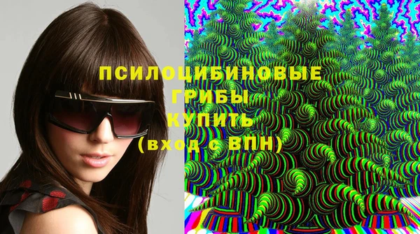 меф Щигры